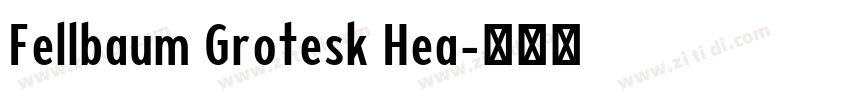 Fellbaum Grotesk Hea字体转换